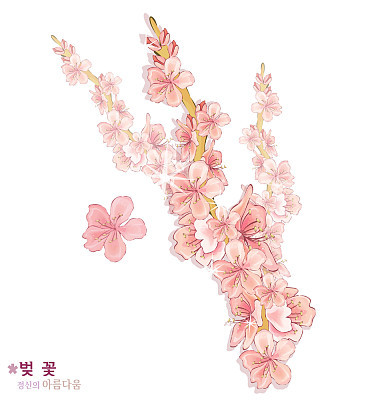 Flower On White Background