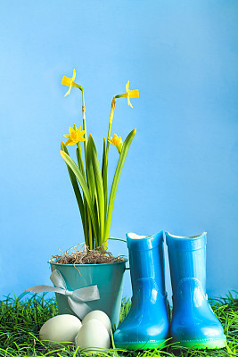 Easter Eggs with Daffodils and Rain Boots