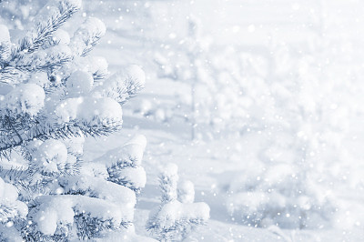 Winter background.