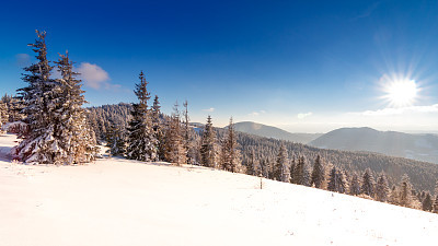 Winter trees in mountains covered with fresh snow
