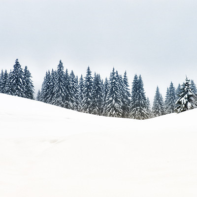 Winter Landscape