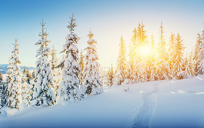 Fantastic winter landscape and worn trail leading into the mount