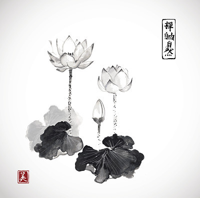 Lotus flowers hand drawn with ink