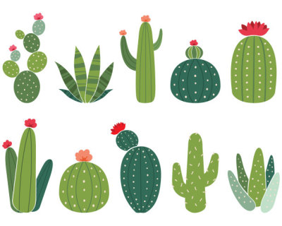 Cactus Elements Set