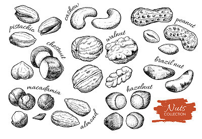 Vector hand drawn nuts set. Engraved collection