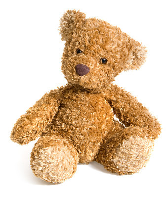 Small Teddy Bear Toy