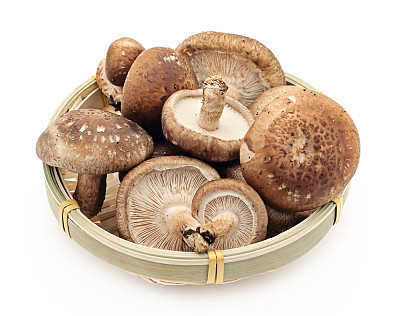 Shiitake mushroom on the White background