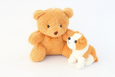 Teddy Bear and brown dog dolls, brown ears on a white background.