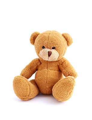 Teddy bear