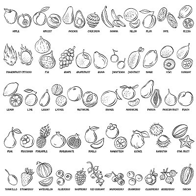 Hand drawn vector set of fruits and berries vintage illustrations.