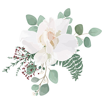 Beautiful Rose flower isolated on white background. Watercolor.