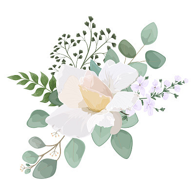 Beautiful Rose flower isolated on white background. Watercolor.