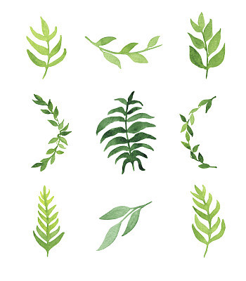 Set of hand-drawn watercolor green leaves isolated on white background