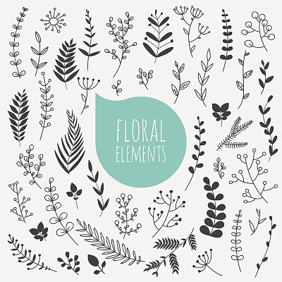 Floral elements. Collection of spring flowers, leaves, dandelion