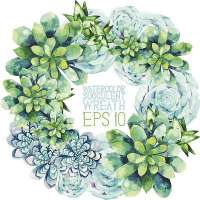 Watercolor succulent wreath