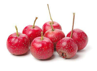 Hawthorn berries on the white background