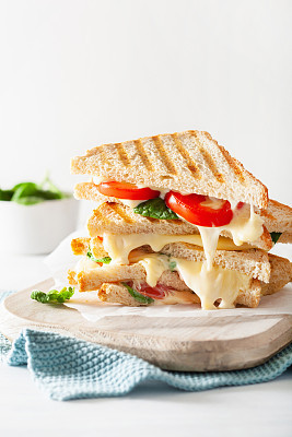 grilled cheese and tomato sandwich on white background