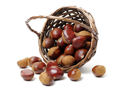 Chess nuts  on white background