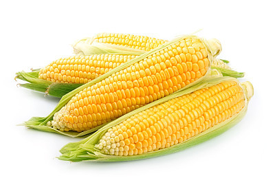 Bright yellow corn isolated on white