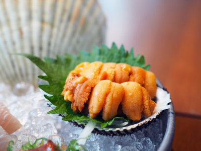 Fresh uni sashimi on shell over ice with blur background.