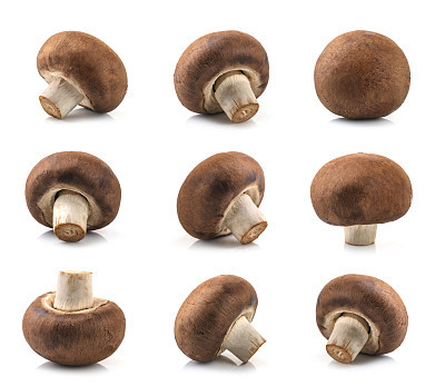 Fresh champignon mushrooms isolated on white background.