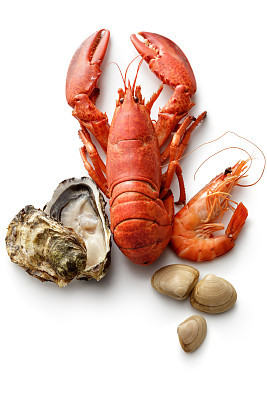 Seafood: Lobster, Shrimp, Oyster and Clams Isolated on White Background