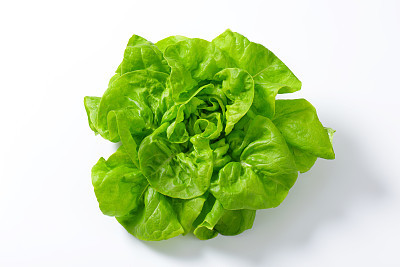lettuce