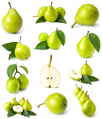 green pears collection_模板素材-稿定设计