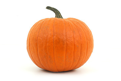 orange pumpkin on white background for halloween or thanksgiving