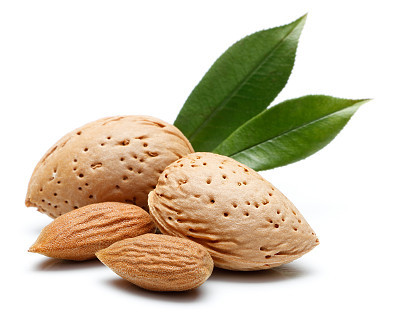 Almond nut isolated
