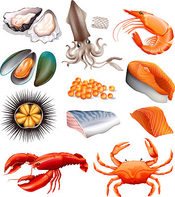 set of seafood on white background