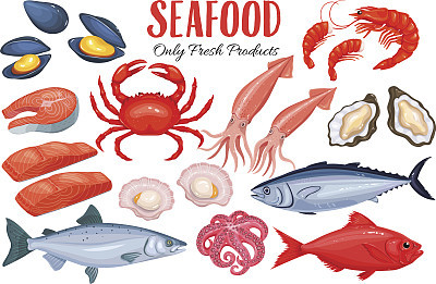 Seafood in cartoon style
