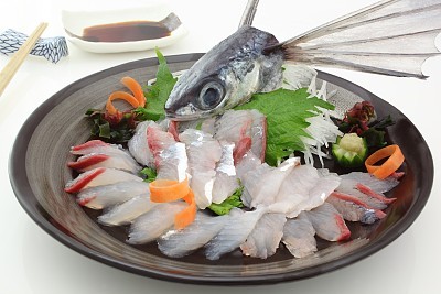 Sashimi flying fish, Japanese food