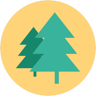 pine tree
