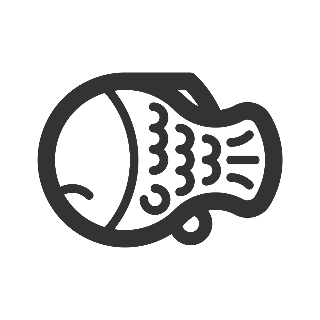 taiyaki