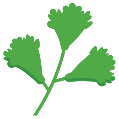Coriander