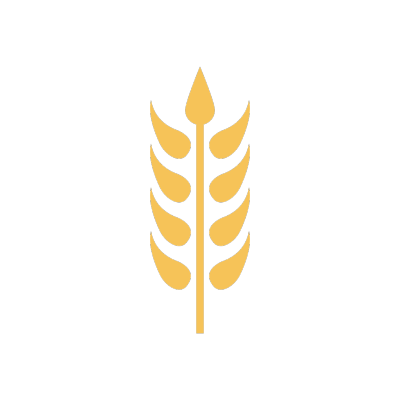 wheat