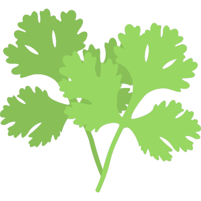 Coriander Leaves