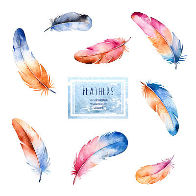 Watercolor collection with 8 feathers .Handpainted colorful feather