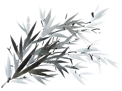Watercolor tree branch