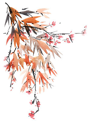 Blossom tree branch