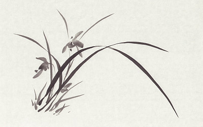 wild orchid black ink painting