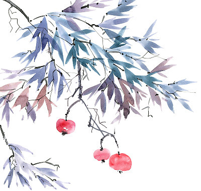 Fruit tree branch