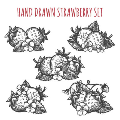 Strawberry sketch icons set