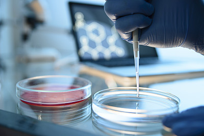 Petri Dish