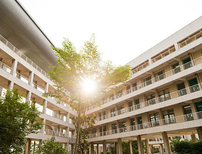 schol building and tree