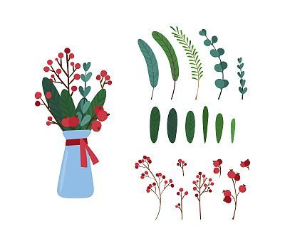 Mistletoe tree botanic decor elements illustrations set.