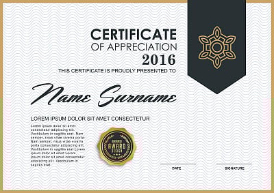CERTIFICATE 296