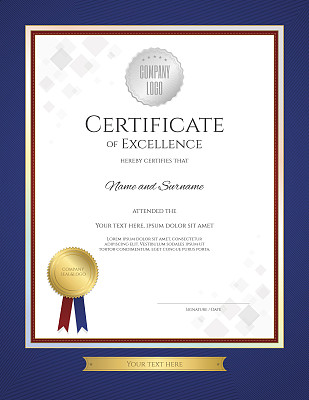 Certificate of excellence template in portrait with blue border
