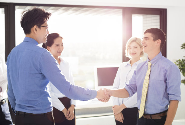 Two Businessmen Shaking Hands In Office